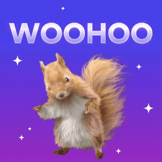 dancing squirrel celebrating gif